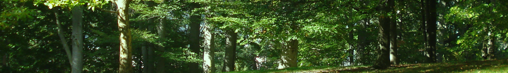 live gay chat rooms of partners sex that is having No-fee